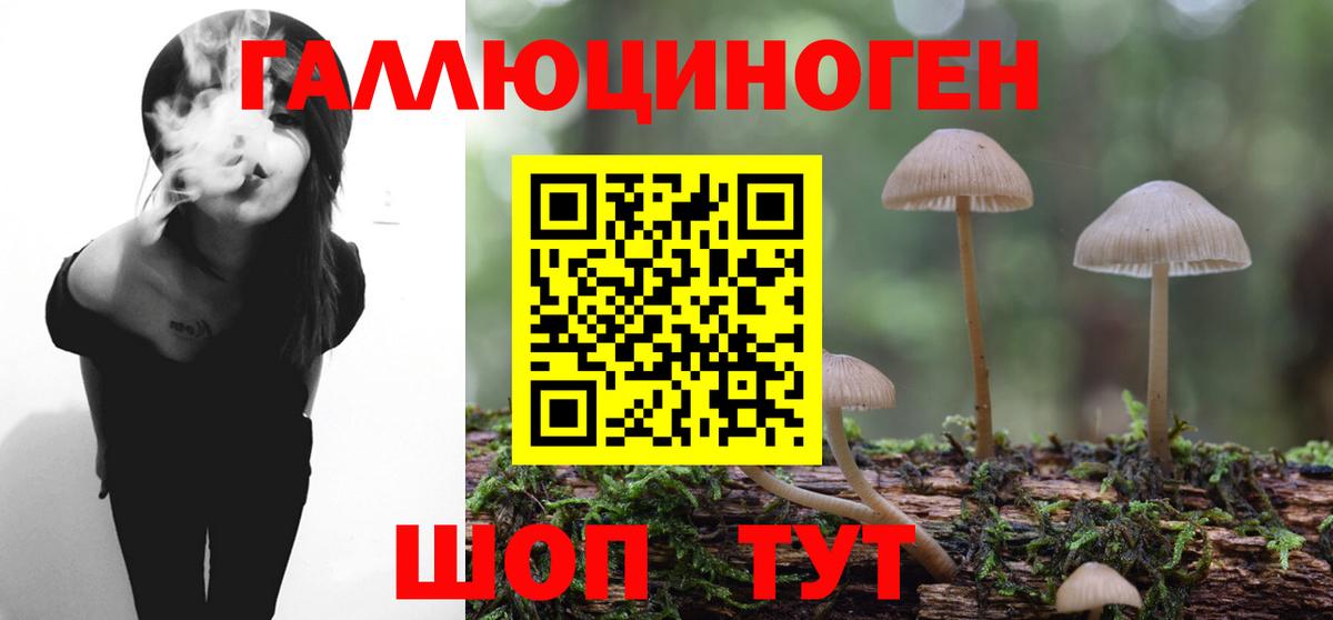 Мытищи  Псилоцибиновые грибы Psilocybe  Псилоцибиновые грибы прущие грибы  Вход с VPN 
